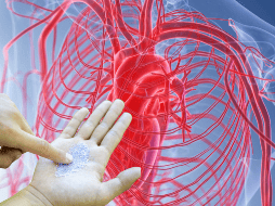 La sangre transporta estos residuos hacia el sistema cardiovascular, donde tienden a incrustarse en las paredes de los vasos sanguíneos, facilitando la formación y el endurecimiento de la peligrosa placa de ateroma. CANVA