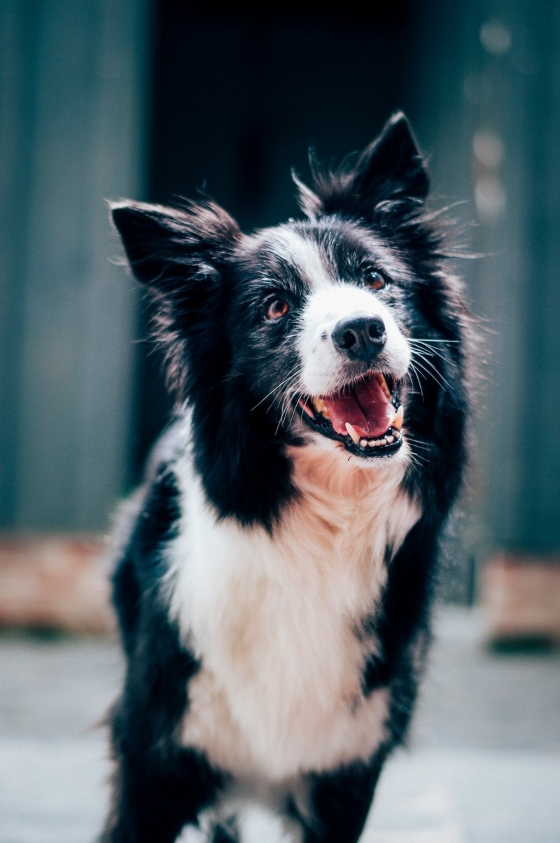 &nbsp;UNSPLASH/ B. Standaert 