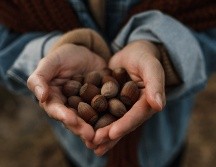Aunque no lo creas, las avellanas tienen muchísimos beneficios si las consumes de manera responsable. ESPECIAL/PEXELS