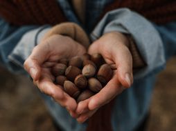 Aunque no lo creas, las avellanas tienen muchísimos beneficios si las consumes de manera responsable. ESPECIAL/PEXELS