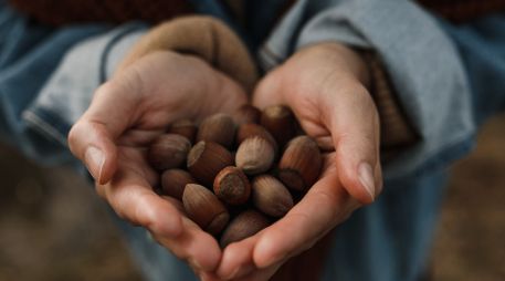 Aunque no lo creas, las avellanas tienen muchísimos beneficios si las consumes de manera responsable. ESPECIAL/PEXELS