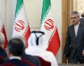 El portavoz del Ministerio de Exteriores iraní, Ismail Bagaei, afirmó que el hecho representa "un cobarde crimen de guerra contra los seres humanos más inocentes: niños que luchan valientemente por sus vidas". EFE/ A. Taherkenareh