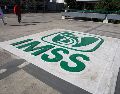 Esta credencial incorpora dos códigos QR, los cuales permitirán verificar e identificar al derechohabiente ante la institución de adscripción. EL INFORMADOR/ARCHIVO