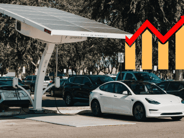 El récord de ventas en el mercado interno viene acompañado de un fortalecimiento en la capacidad de manufactura del país. CANVA