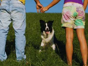 Los perros han pasado de ser considerados simples animales de compañía a ocupar el lugar de verdaderos "perrhijos", recibiendo un nivel de atención y cuidado que antes se reservaba a los humanos. ESPECIAL / CANVA