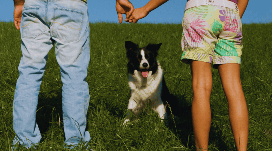 Los perros han pasado de ser considerados simples animales de compañía a ocupar el lugar de verdaderos 