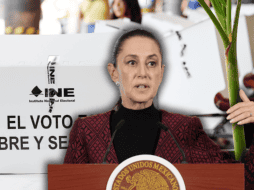 La Mandataria afirmó que detrás de este tipo de planteamientos existe una visión elitista que considera que solo un sector de la población debería decidir el rumbo del país. EL INFORMADOR/ARCHIVO EFE/J. Méndez