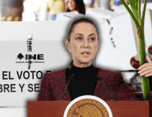 La Mandataria afirmó que detrás de este tipo de planteamientos existe una visión elitista que considera que solo un sector de la población debería decidir el rumbo del país. EL INFORMADOR/ARCHIVO EFE/J. Méndez