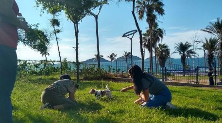 Otros espacios abiertos ideales para descubrir en compañía de tu lomito son el Parque Central de Mazatlán, que permite el acceso con correa para una recreación segura. CORTESÍA/Turismo Mazatlán