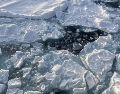 Los investigadores habían visto en análisis previos que el ritmo de pérdida del hielo del Ártico se había atenuado durante los inviernos a principios de la década de 2020. EFE / UNIVERSIDAD DE SOUTHAMPTON.
