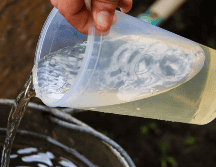 Guadalajara, Zapopan, Tlajomulco y Tonalá reciben 93% de agua proveniente del SIAPA. EL INFORMADOR / ARCHIVO