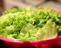 El brote de ciclosporiasis vinculado a lechuga mexicana ha encendido alertas. ESPECIAL/PIXABAY