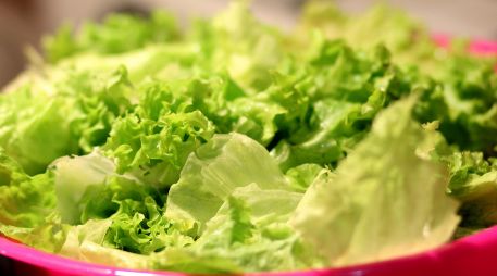 El brote de ciclosporiasis vinculado a lechuga mexicana ha encendido alertas. ESPECIAL/PIXABAY