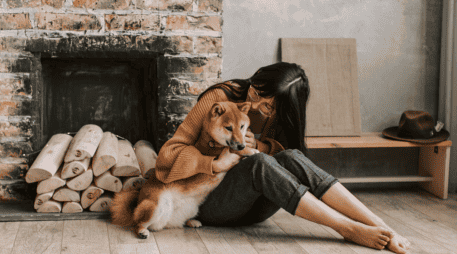 La presencia de un perro o un gato funciona en la práctica como un regulador emocional. CANVA