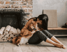 La presencia de un perro o un gato funciona en la práctica como un regulador emocional. CANVA