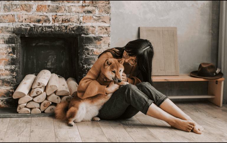 La presencia de un perro o un gato funciona en la práctica como un regulador emocional. CANVA