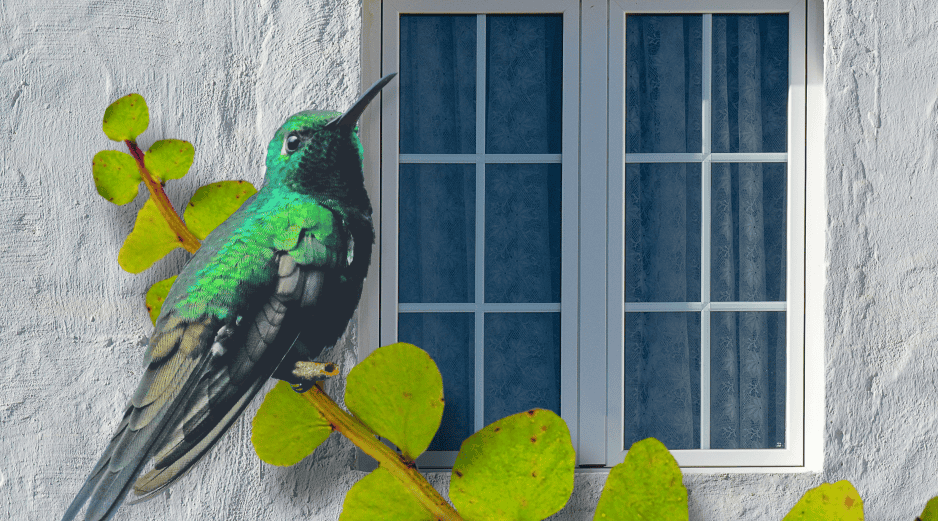 Crear un jardín para colibríes no solo embellece el hogar, sino que contribuye a la conservación de estas aves y de los ecosistemas locales. ESPECIAL/Canva