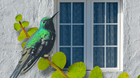 Crear un jardín para colibríes no solo embellece el hogar, sino que contribuye a la conservación de estas aves y de los ecosistemas locales. ESPECIAL/Canva