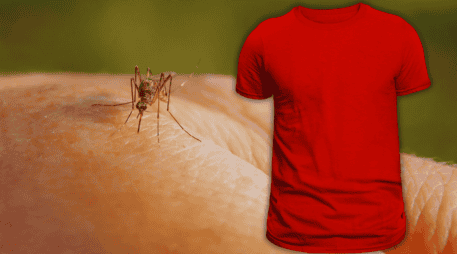 La visión de los mosquitos se activa de manera muy específica tras detectar nuestra presencia y hay colores que les resultan más atractivos. ESPECIAL / CANVA