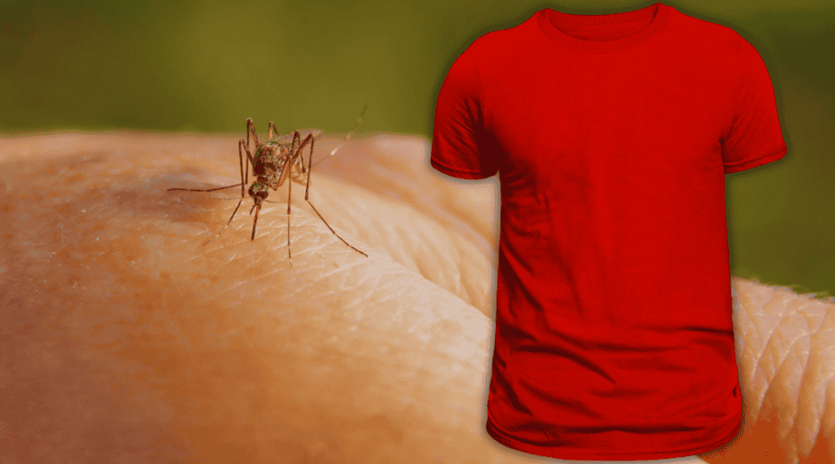 La visión de los mosquitos se activa de manera muy específica tras detectar nuestra presencia y hay colores que les resultan más atractivos. ESPECIAL / CANVA