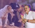 El conductor reconoció que sus declaraciones generaron un impacto negativo y aseguró que ahora busca promover el respeto hacia los animales. CANVA/SUN/ARCHIVO/ESPECIAL