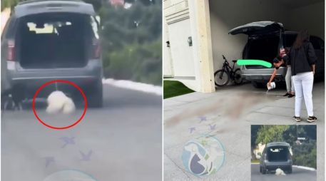 Las impactantes imágenes no tardaron en viralizarse y desatar un auténtico debate entre los internautas. ESPECIAL