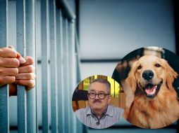 La propuesta contempla multas económicas y penas de cárcel para quienes induzcan a otras personas a cometer actos de crueldad animal. PEXELS/ESPECIAL