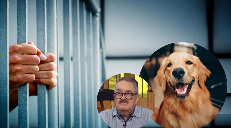 La propuesta contempla multas económicas y penas de cárcel para quienes induzcan a otras personas a cometer actos de crueldad animal. PEXELS/ESPECIAL