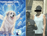 En las próximas horas se llevará a cabo la audiencia inicial de Liliana “N” por el fallecimiento del perrito Rocky. FACEBOOK / DIGNIDAD ANIMAL OFICIAL