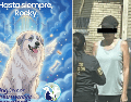 En las próximas horas se llevará a cabo la audiencia inicial de Liliana “N” por el fallecimiento del perrito Rocky. FACEBOOK / DIGNIDAD ANIMAL OFICIAL