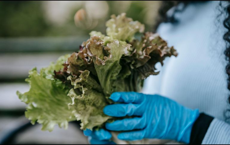 La correcta higiene de frutas y verduras es fundamental para reducir el riesgo de enfermedades transmitidas por alimentos. PEXELS