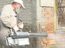 Las fumigaciones forman parte de la estrategia sanitaria implementada tras las lluvias. ESPECIAL