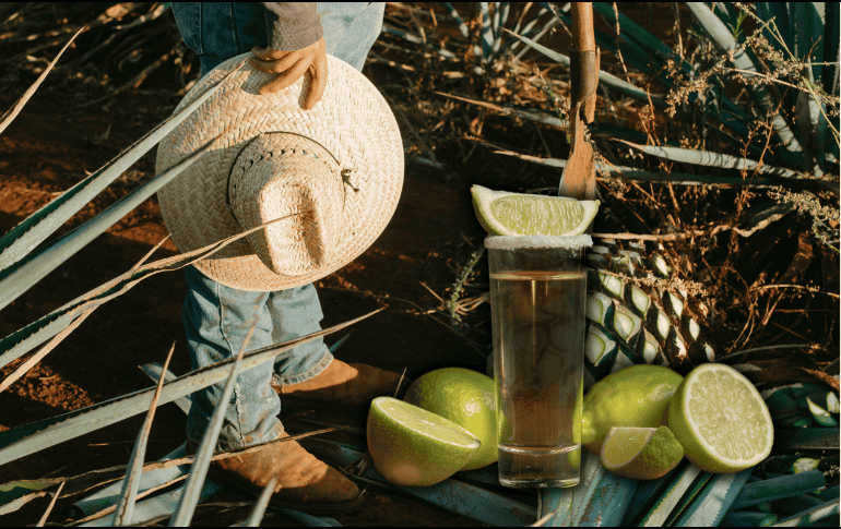 Para aprovechar los beneficios del tequila, se debe elegir una presentación de alta calidad y consumirlo solo. ESPECIAL/Canva
