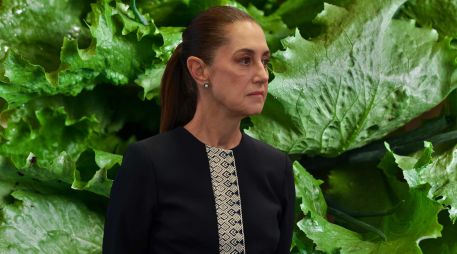 Claudia Sheinbaum dice que se dará la información a través de la Ssa porque se está revisando 