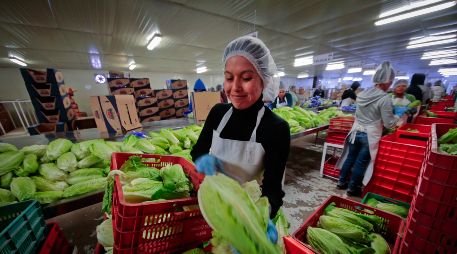 El Servicio Nacional de Sanidad, Inocuidad y Calidad Agroalimentaria (Senasica) ha tenido reducciones en su presupuesto que, considera, son alarmantes. SUN/ARCHIVO