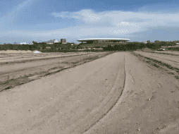 Este espacio permitirá producir, conservar y disponer de pasto para responder con mayor rapidez ante cualquier eventualidad relacionada con las superficies de juego. EL INFORMADOR / P. GALLARDO
