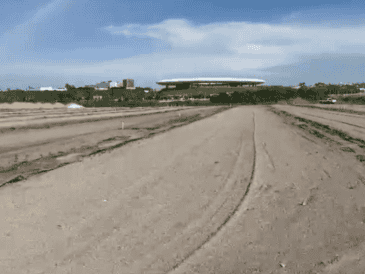 Este espacio permitirá producir, conservar y disponer de pasto para responder con mayor rapidez ante cualquier eventualidad relacionada con las superficies de juego. EL INFORMADOR / P. GALLARDO