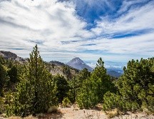 El fenómeno de “El Niño” se perfila como el más potente en 150 años. EL INFORMADOR/ARCHIVO
