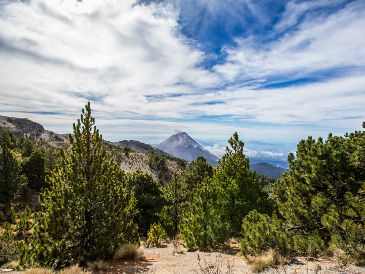 El fenómeno de “El Niño” se perfila como el más potente en 150 años. EL INFORMADOR/ARCHIVO