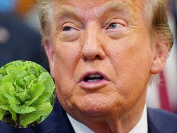El mandatario estadounidense lanzó la propuesta durante una conferencia en la Casa Blanca, mientras la FDA continúa investigando el alimento. EFE/B. Cash/CANVA/ESPECIAL