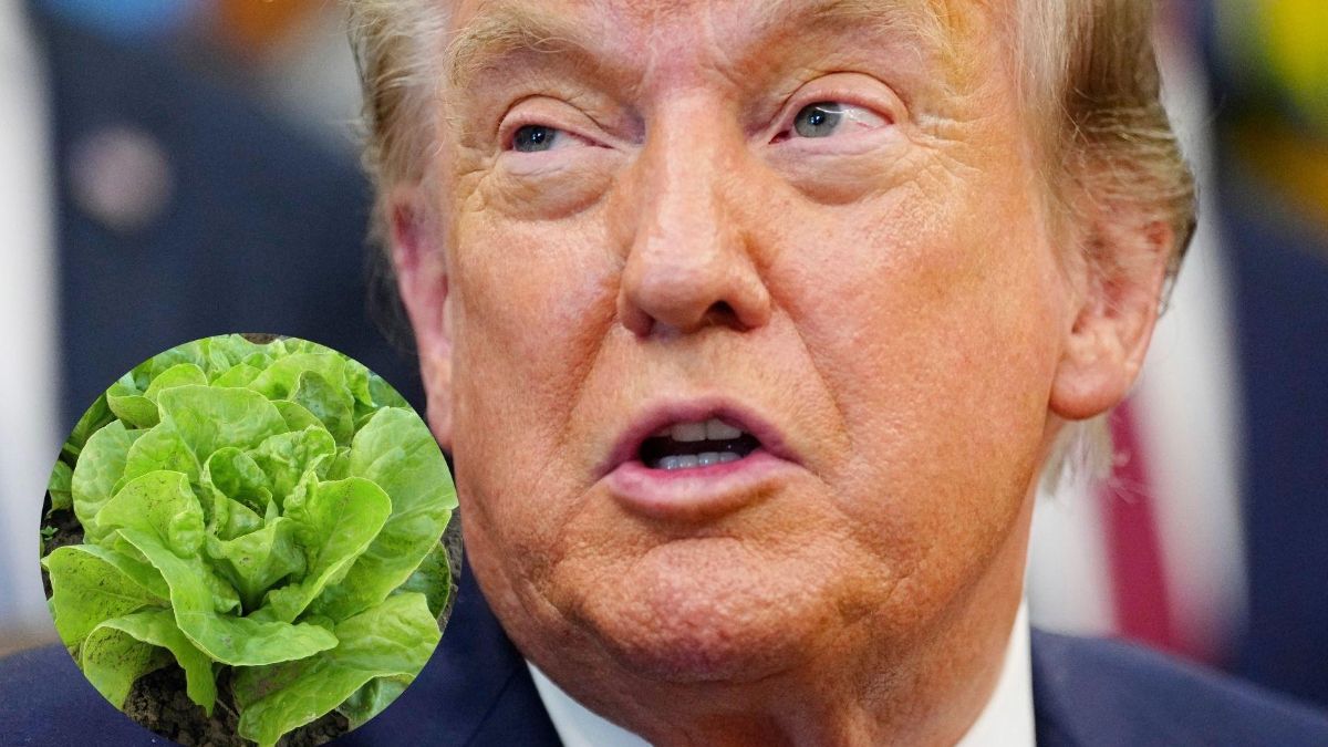 Lechugas mexicanas son el nuevo blanco de Donald Trump