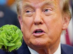 El mandatario estadounidense lanzó la propuesta durante una conferencia en la Casa Blanca, mientras la FDA continúa investigando el alimento. EFE/B. Cash/CANVA/ESPECIAL