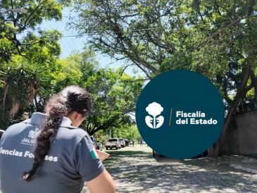 En la última semana, la Fiscalía de Jalisco ha realizado una serie de cateos, en particular en Guadalajara. ESPECIAL / Fiscalía de Jalisco