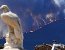Imagen de las llamas del incendio forestal activo entre las localidades abulenses de Burgohondo y Navaluenga. EFE / R. Sanchidrián