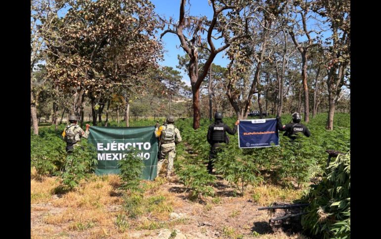 Los uniformados detectaron en una zona conocida como 