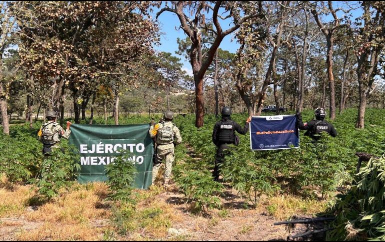 Los uniformados detectaron en una zona conocida como 