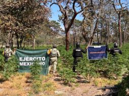 Los uniformados detectaron en una zona conocida como 