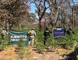 Los uniformados detectaron en una zona conocida como 