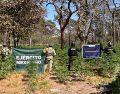 Los uniformados detectaron en una zona conocida como "El Llano", un terreno en donde observaron plantas con las características de la marihuana. ESPECIAL