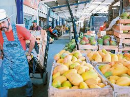 El sector impulsa nuevas estrategias comerciales para ampliar la presencia del mango mexicano en mercados internacionales. ESPECIAL